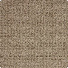 Exceptional Outstanding Beige Pattern Carpet product swatch